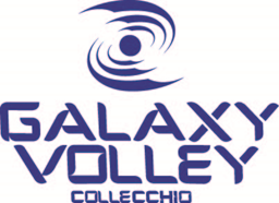 Logo Galaxy Volley